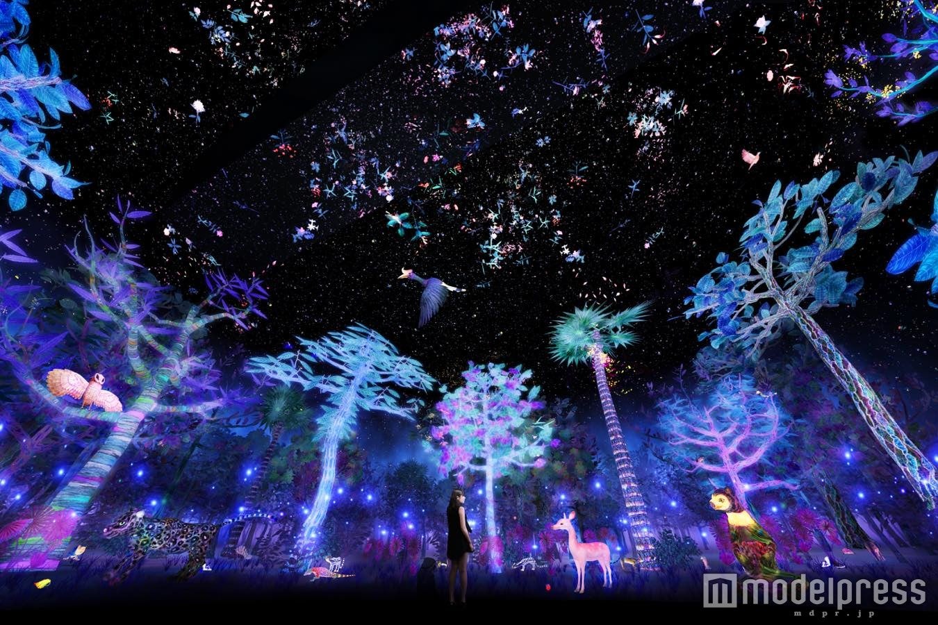 シンガポールに幻想的なアート空間　“動植物の森”を色鮮やかに描く