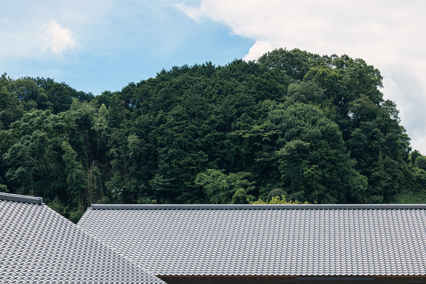 大きな瓦屋根(提供画像)
