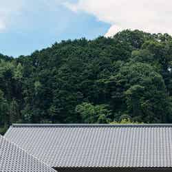 大きな瓦屋根(提供画像)