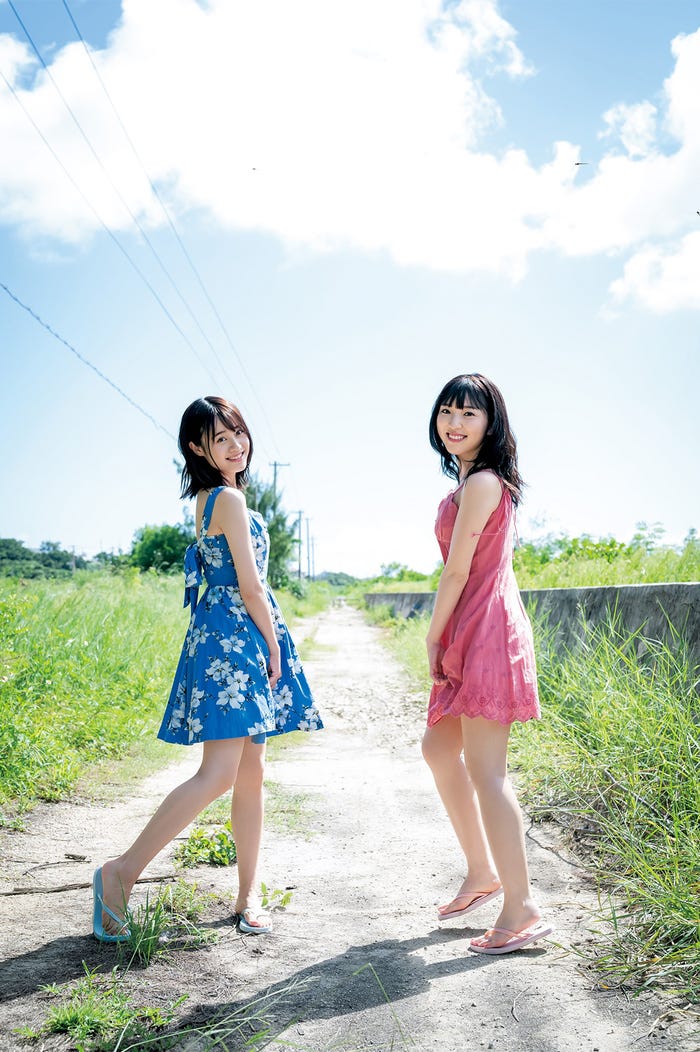 Pyxis(C)尾形正茂