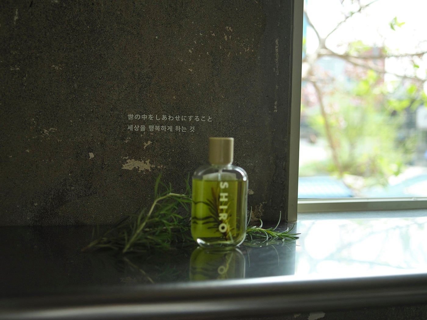 SHIRO Seongsu/提供画像