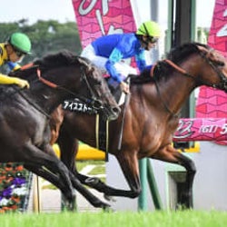 【メイS】アイスストーム差し切りV コースレコードに迫る好時計を記録