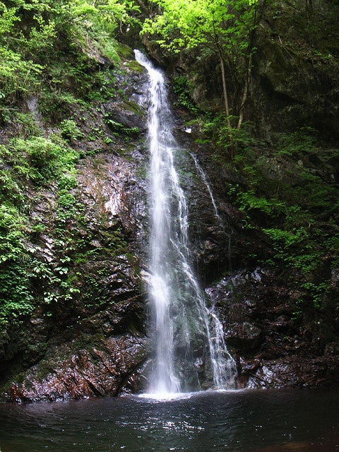 払沢の滝／Photo by monoooki