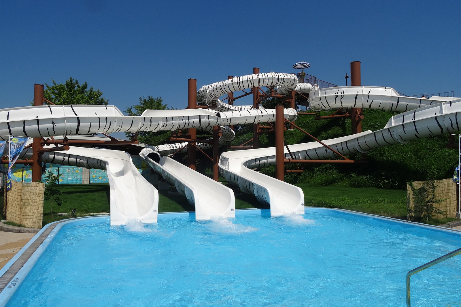 タイガースプラッシュ全景／画像提供：東武動物公園