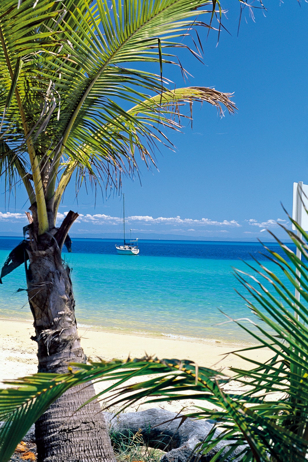 世界で3番目に大きな砂の島・モートン島（提供画像）