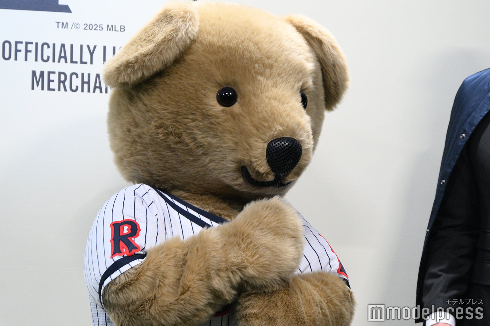 Poloベア（C）モデルプレス