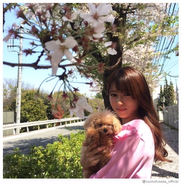 深田恭子、桜舞うなか愛犬と2ショット「可愛いの渋滞」「写真集レベル」魅了されるファン続出