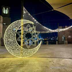 イルミネーション(C)モデルプレス