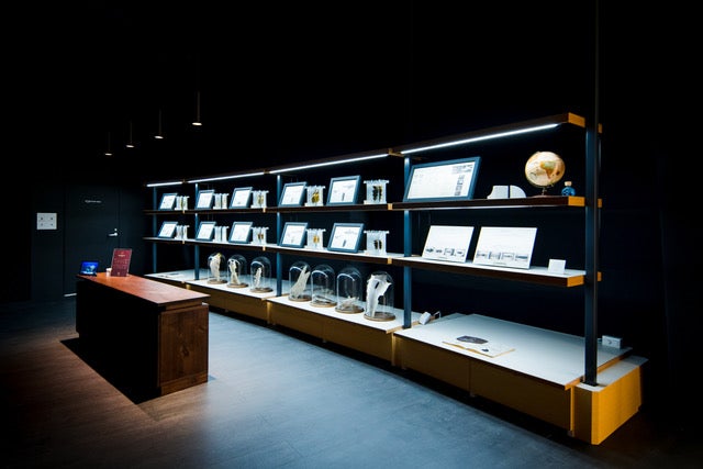 サメVR水槽のあるスペース[シャークダディズルーム] （提供画像）