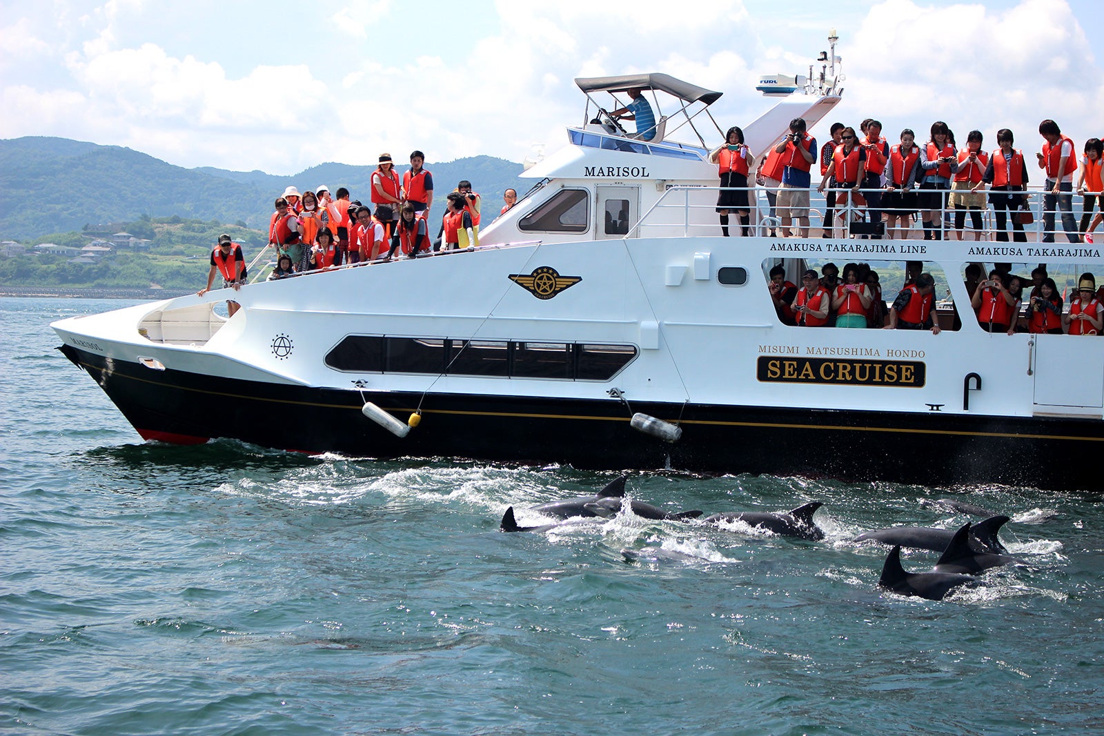 イルカウォッチング／画像提供：シークルーズ