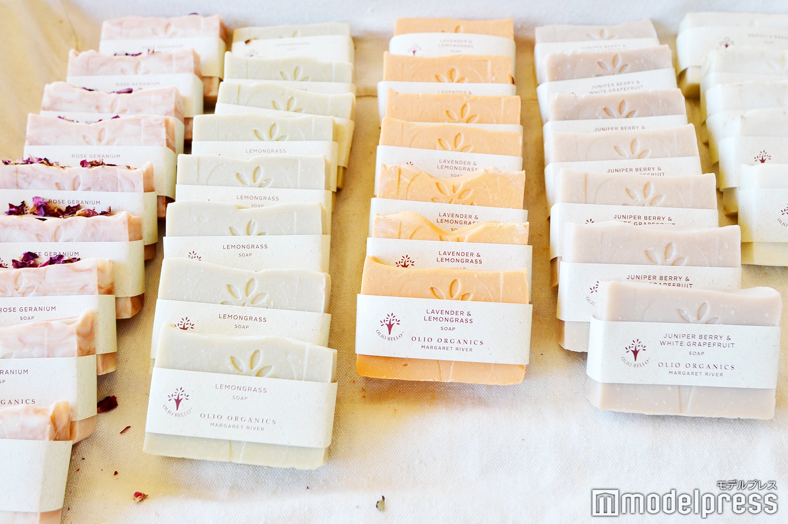 オリオ・ベロ（C）モデルプレス