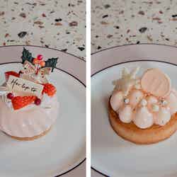 テイクアウトケーキ 1点  ¥950／左から：ホーリーチーズベリームース、スノーフレークアプリコットローズタルト／提供画像