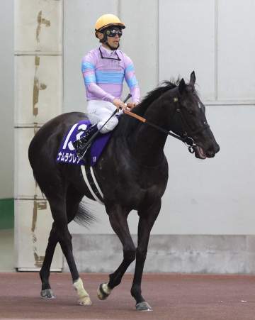 ナムラクレアは引退後繁殖入り 4日に栗東退厩へ 長谷川師「超える馬が出てきても不思議はない」