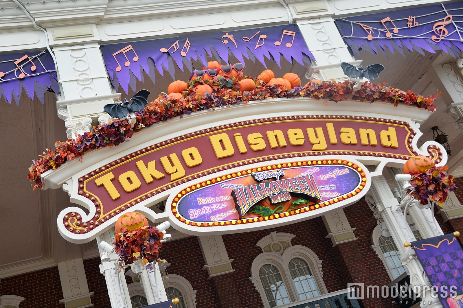 デコレーション（C）モデルプレス