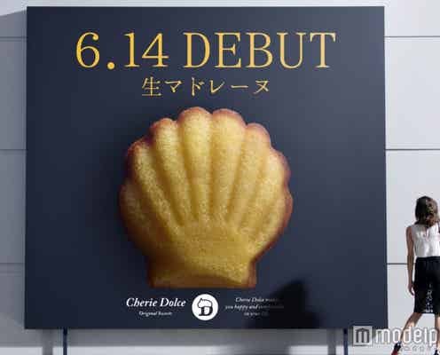 山田優も「お気に入り」の生マドレーヌ登場 しっとり食感&コクのあるクリームがやみつきに!