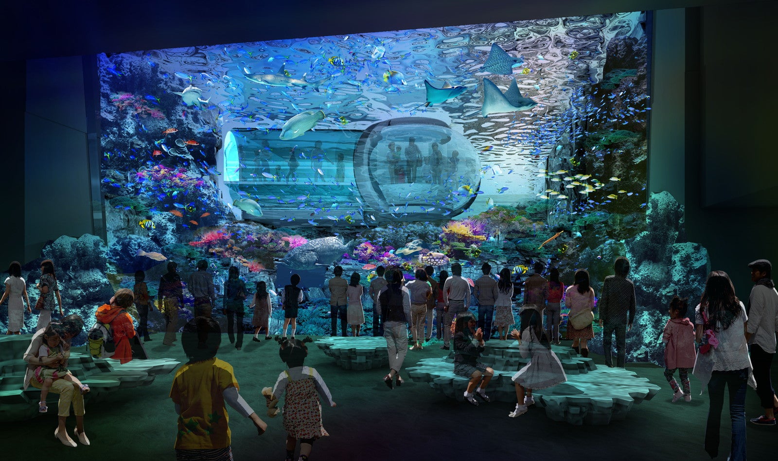 大水槽（イメージ）／提供素材