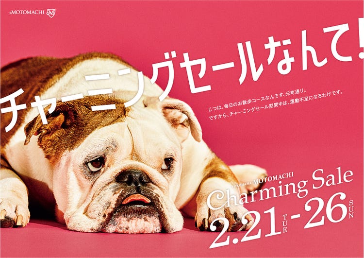 画像7 8 ふてくされる犬の表情が可愛すぎる 皮肉交じりのセリフにも注目 モデルプレス