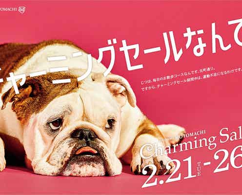 ふてくされる犬の表情が可愛すぎる 皮肉交じりのセリフにも注目