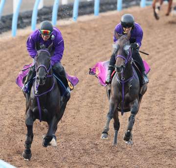 【ヴィクトリアM】ジョスラン 休み明けでも順調 鹿戸師は「余裕もあって、動きは良かった」