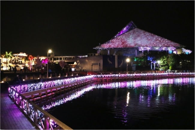 スカイ ライト マジック ～夜桜～／画像提供：横浜八景島
