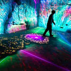 画像提供:ネイキッド