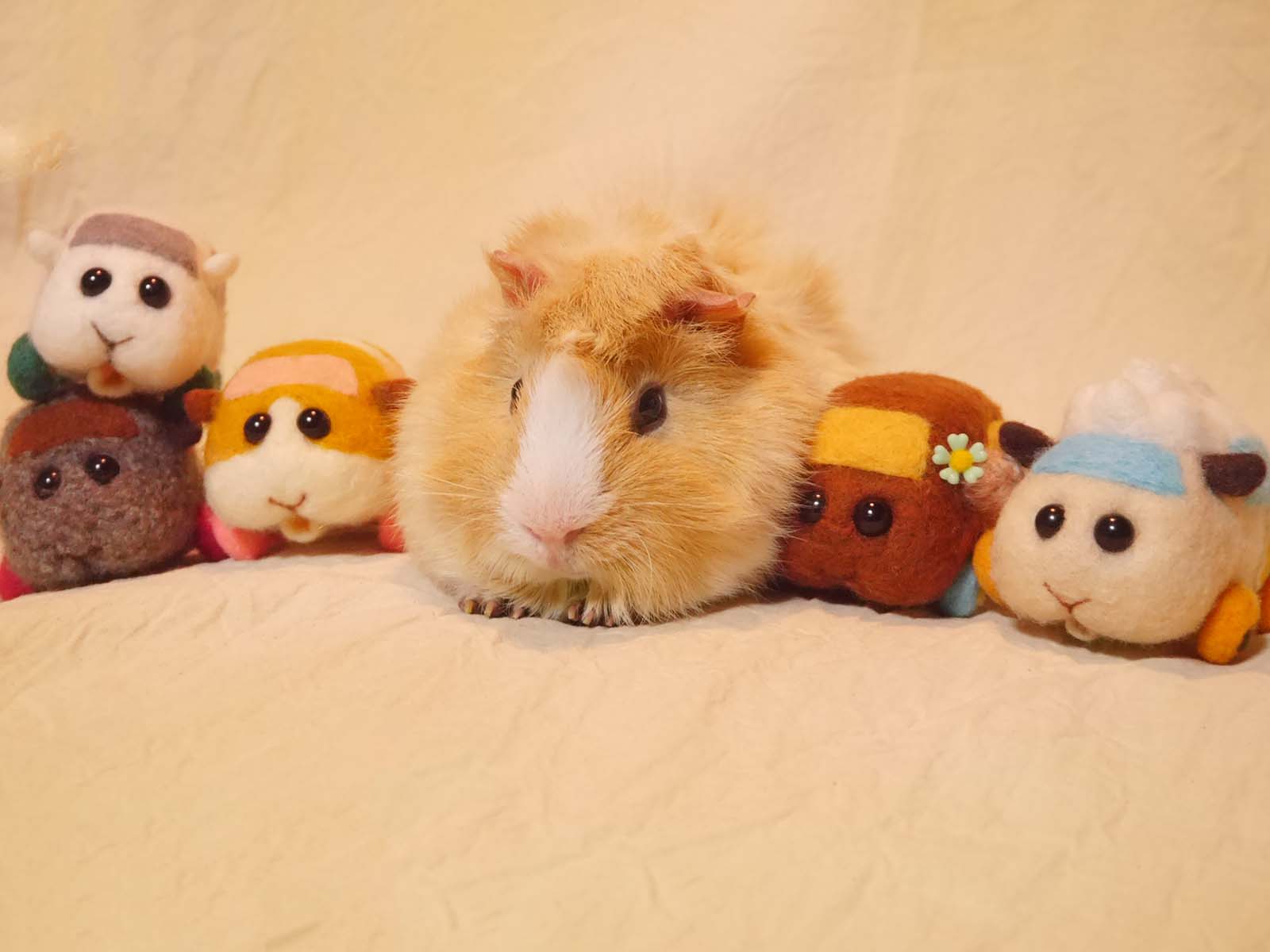 つむぎちゃん／見里朝希氏Xより