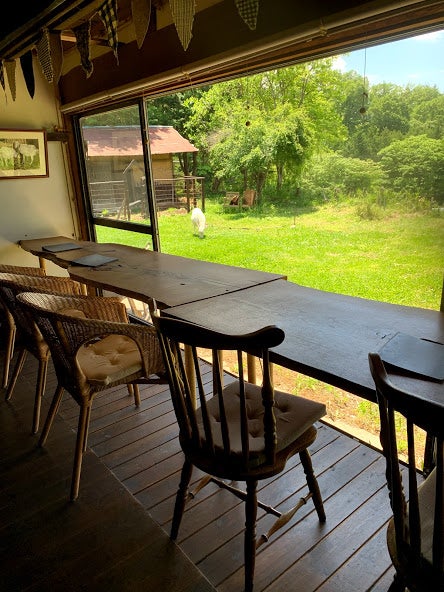 お庭を眺めながら身体が喜ぶ手作り料理をのんびり頂く（提供画像）