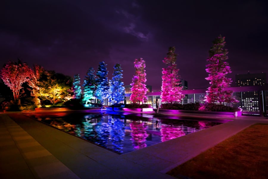 チームラボ:呼応する木々 in GINZA SIX GARDEN