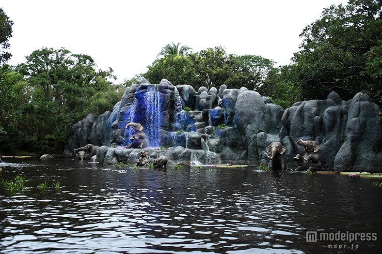 「ジャングルクルーズ：ワイルドライフ・エクスペディション」