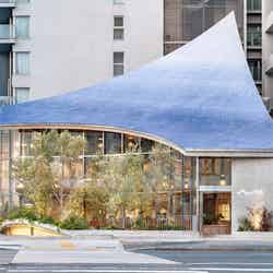 アオイ セレスティ コーヒー ロースタリー/提供画像