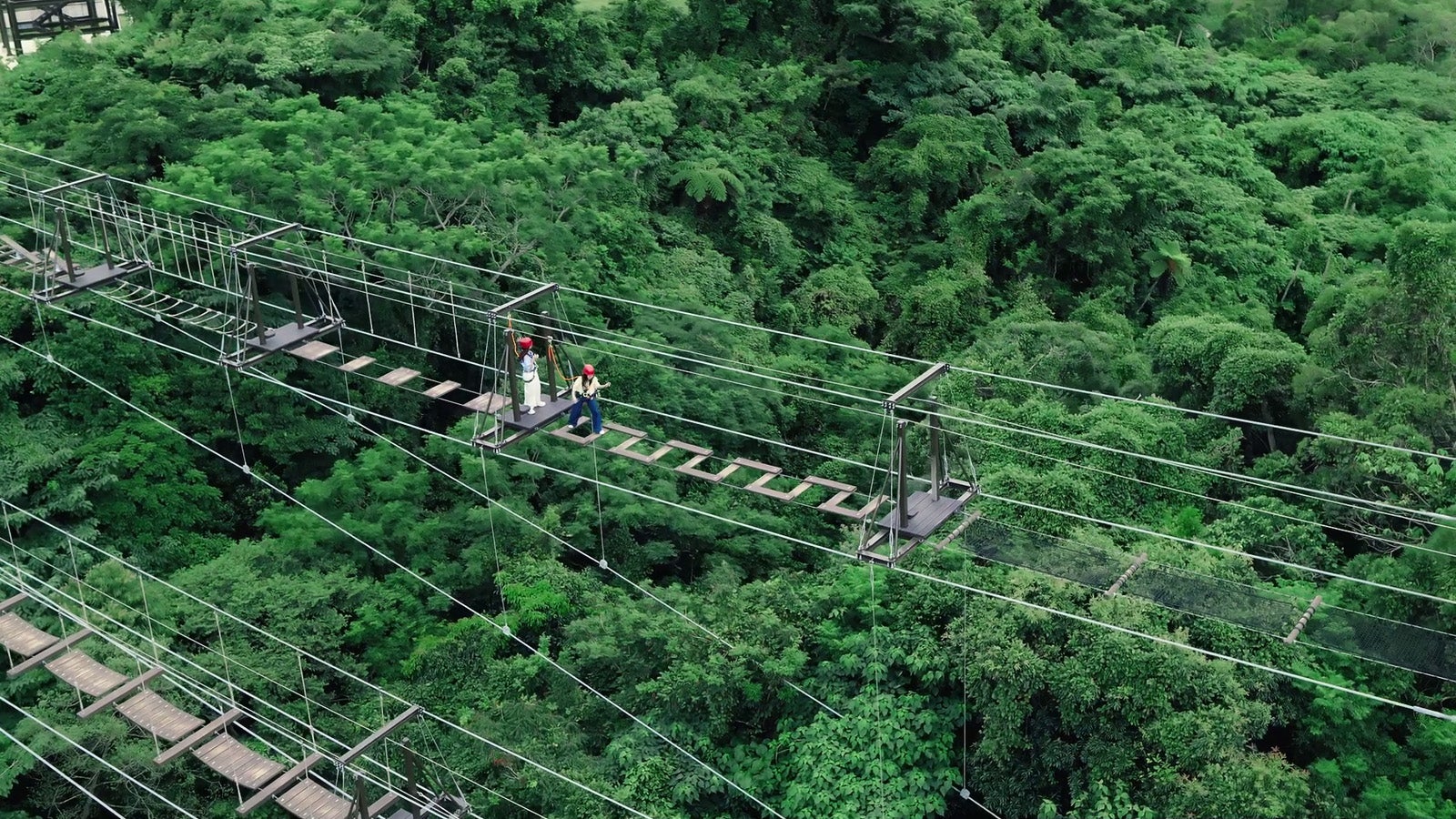 ジャングリア沖縄／提供画像