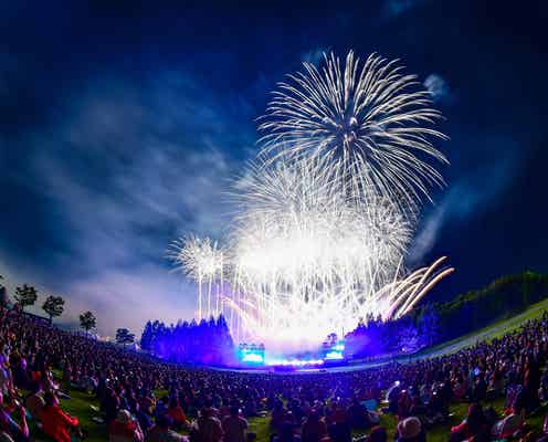 ディズニー名曲と紡ぐ音楽花火「Disney Music & Fireworks」夢と魔法の物語を彩る名曲×花火がシンクロ