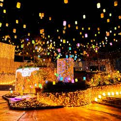 ひらかたパーク/画像提供:京阪電気鉄道