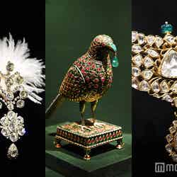 (左から)ターバン飾り、オウムの飾り、ハイデラバード君主のネックレス(C)モデルプレス