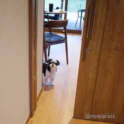 Dear Wan Spa Garden(C)モデルプレス