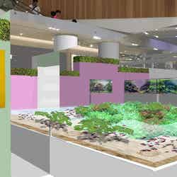 緑彩の池(C)2017 Green Aquarium Project. All Rights Reserved.