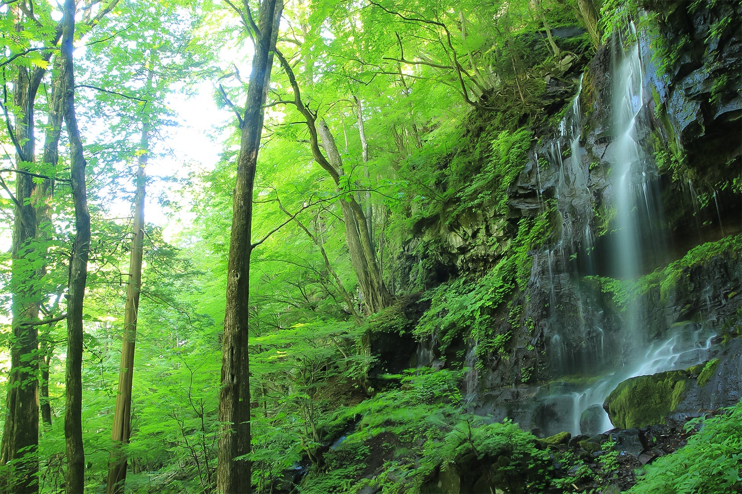 glampark 赤沢温泉／画像提供：ブッキングリゾート