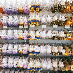 バニー・ホップ・ギフト/ミッフィー・ワンダースクエア(C)モデルプレス