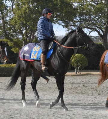 【根岸S】ウェイワードアクト 3連勝で重賞獲り狙う 田中博師「少し怖さを感じる」目つきの変化に本格化の兆候