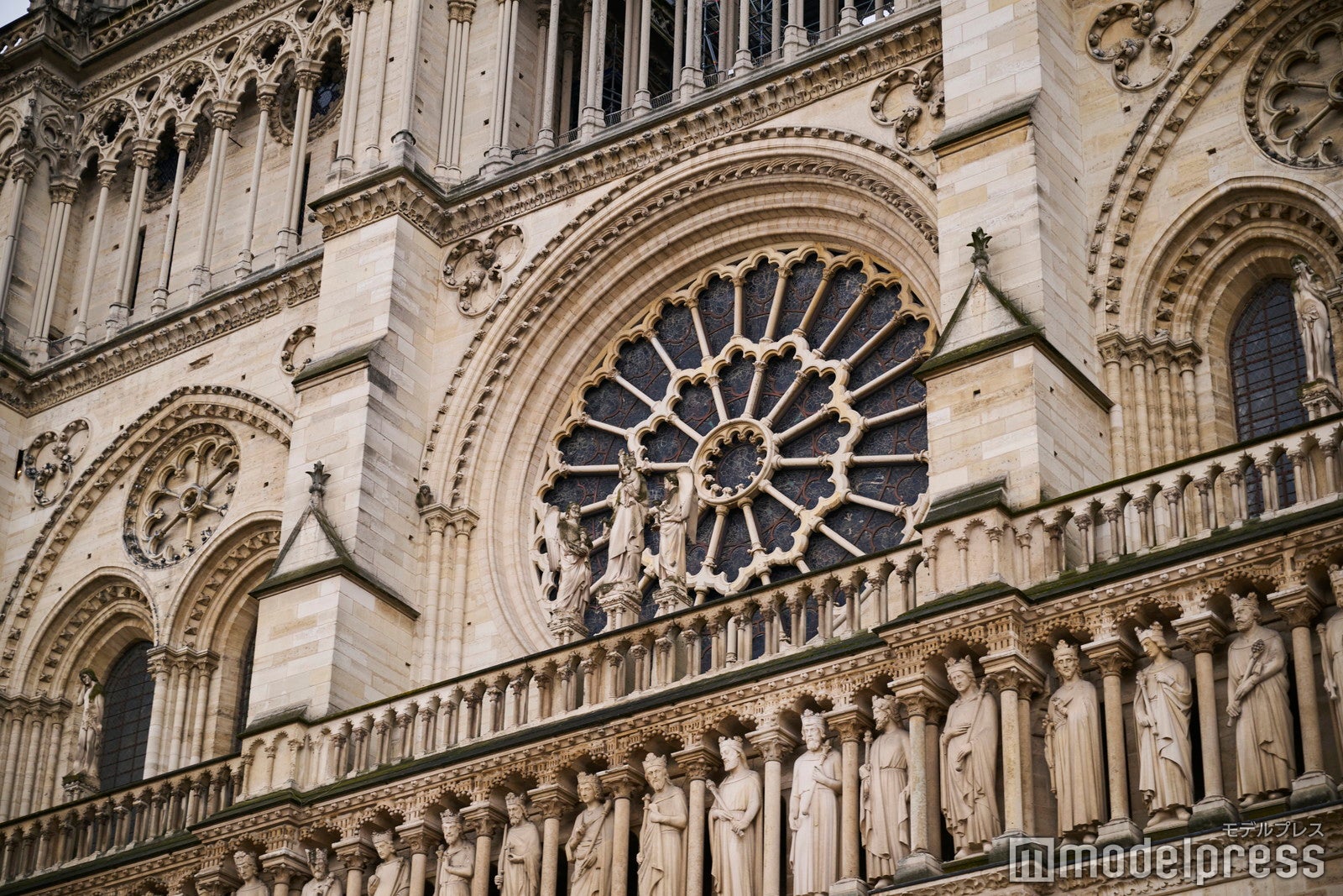 ノートルダム大聖堂（C）モデルプレス