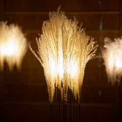 花と光のムーブメント 小金井公園ナイトパーク ワンダー/提供素材