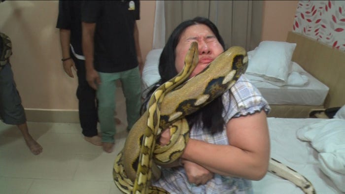 よしこ(C)日本テレビ