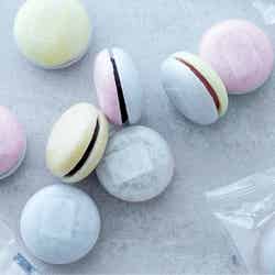 鶴屋吉信/画像提供:鶴屋吉信