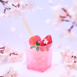 桜氷(さくらぽっぷ)-URARAKA-(980円)(C)TOKYO-SKYTREE