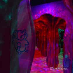 ちいかわパーク(C)モデルプレス