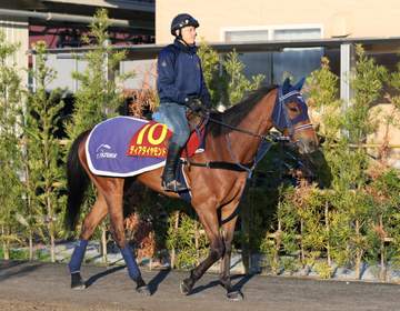 【桜花賞】ディアダイヤモンド 馬体は前走並みの仕上がり 石川助手「自分から進んで歩いて」阪神入り後の調整も順調