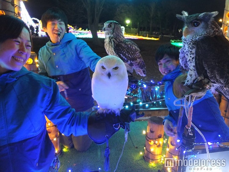 画像12 15 0万球15色のカラフルな輝き 東武動物公園 ウィンターイルミネーション で冬デートは決まり モデルプレス 画像12 15 0万球15色のカラフルな輝き 東武動物公園 ウィンターイルミネーション で冬デートは決まり モデルプレス
