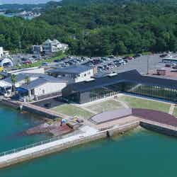 ミオカミーノ天草/画像提供:シークルーズ