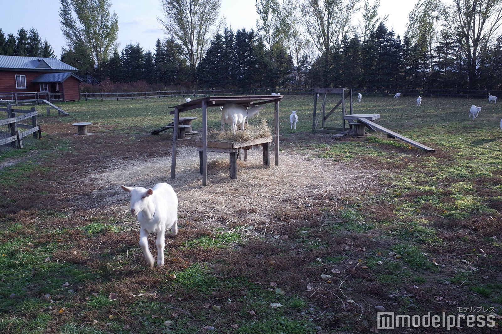 ドメーヌレゾン（C）モデルプレス