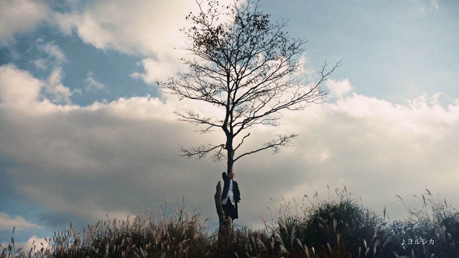 「人生の選択」篇より（C）2019-2020 SQUARE ENIX CO., LTD. All Rights Reserved. Co-Developed by gumi Inc. LOGO ILLUSTRATION:（C）2018 YOSHITAKA AMANO